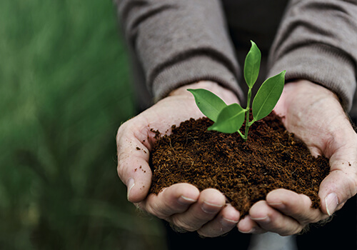 El algodón es 100% biodegradable